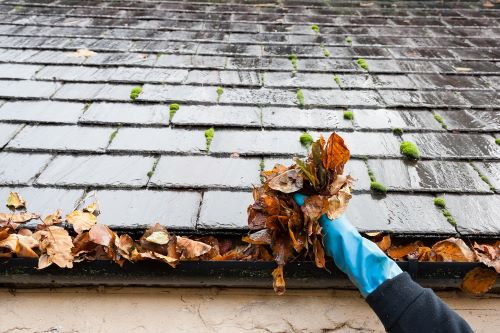 The Importance of Regular Gutter Cleaning for Your Home