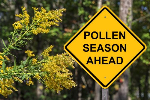 How to Keep Pollen Season from Destroying Your Outdoor Space