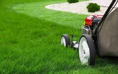The Importance of Proper Lawn Equipment Maintenance
