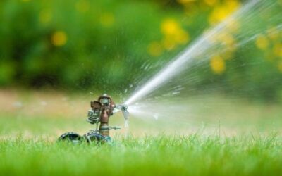 Summer Lawn Watering Mistakes to Avoid