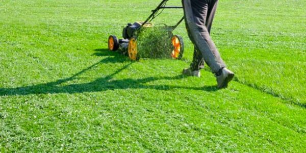 How to Prep Your Yard for Fall Aeration