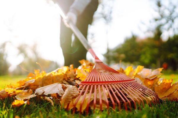 Fall Cleanup Checklist for Virginia Lawns