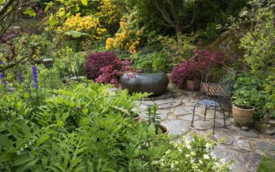 Designing Low-Maintenance Shade Gardens
